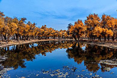 《罗布乐思》创作者将可为自建内容添加订阅选项